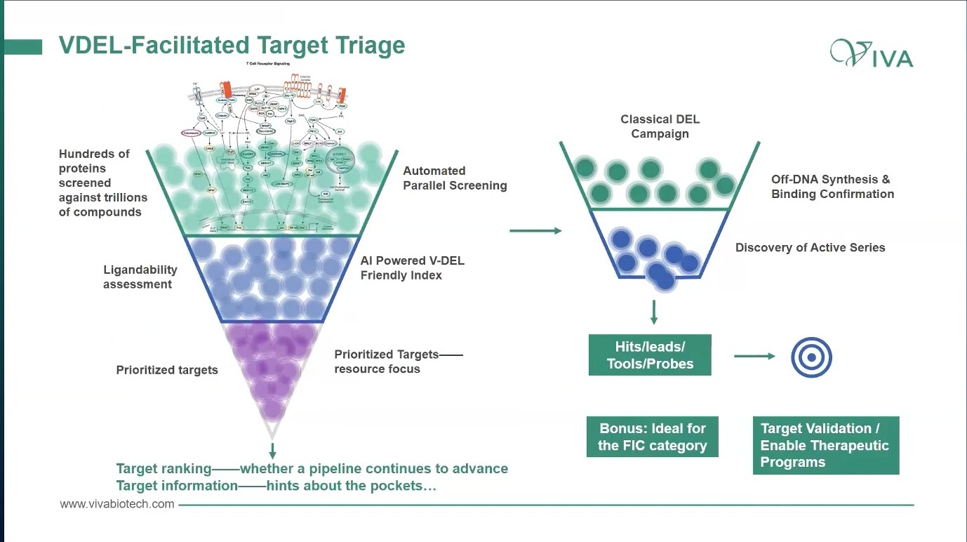 VDEL facilitated target triage funnel and classical DEL campaign
