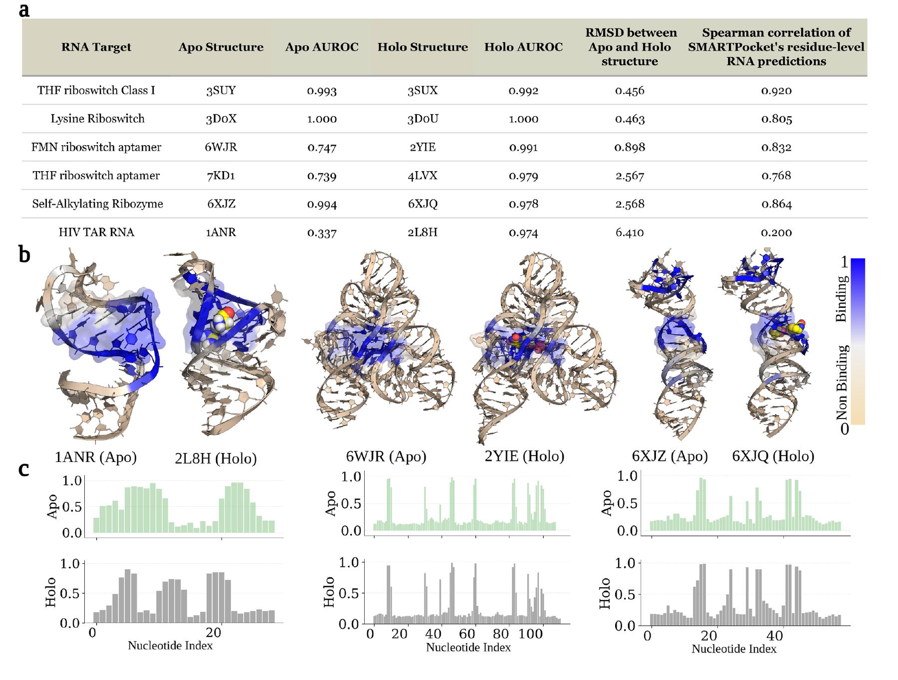 SMARTPocket apo-holo conformational boundary